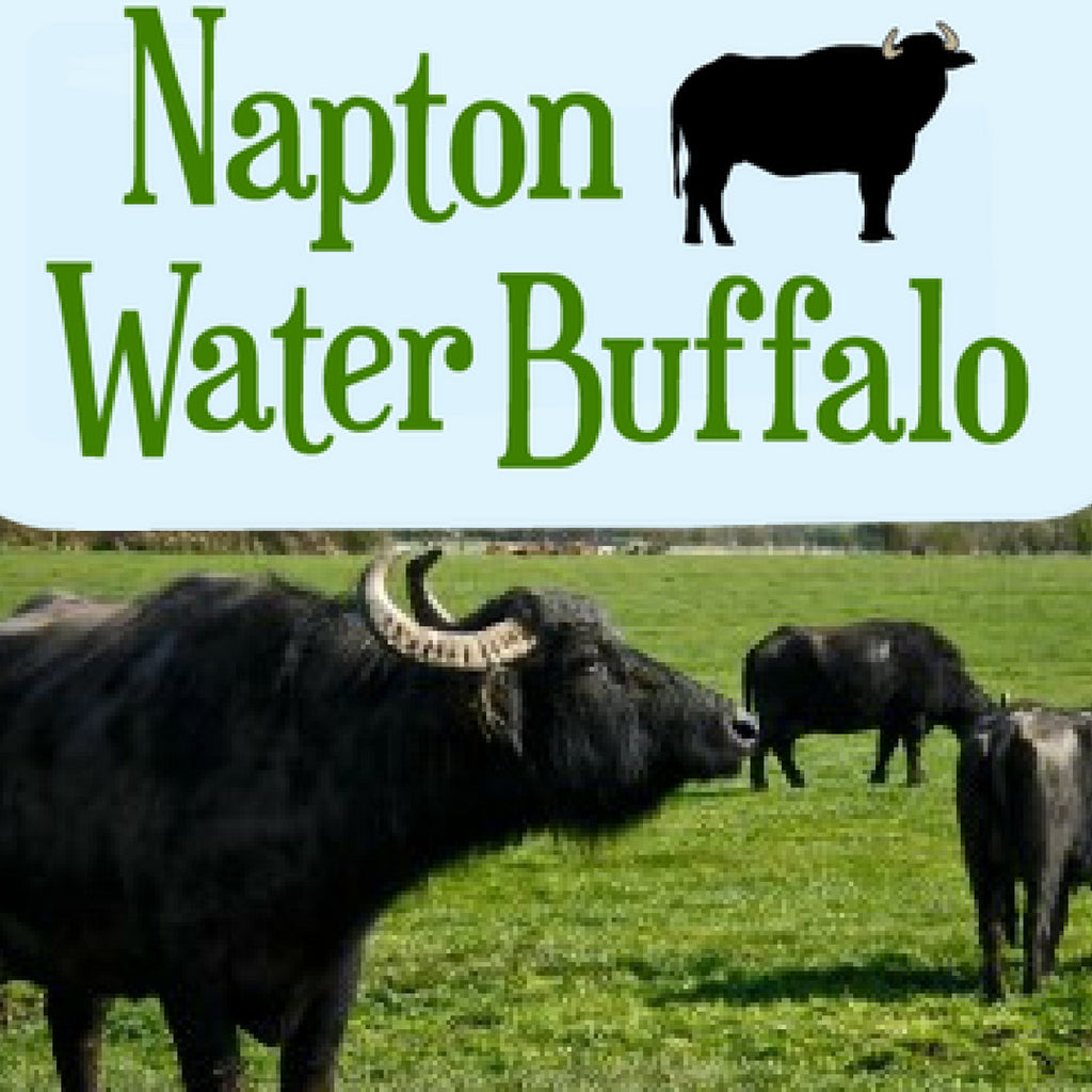 Napton Water Buffalo Biltong